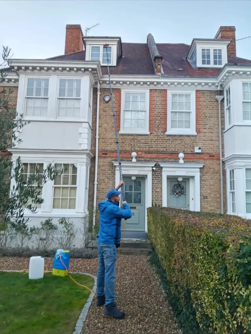 Cleaning the windows of a tall Victorian terrace